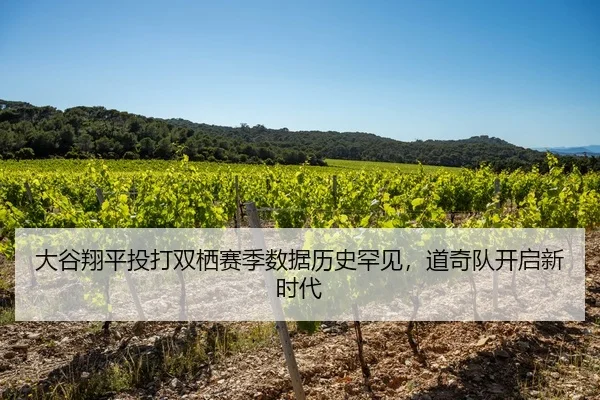 大谷翔平投打双栖赛季数据历史罕见，道奇队开启新时代