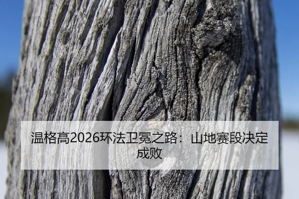 wen-ge-gao-huan-fa-wei-mian-zhi-lu-shan-di-sai-duan-jue-ding-cheng-bai-3-479.jpg