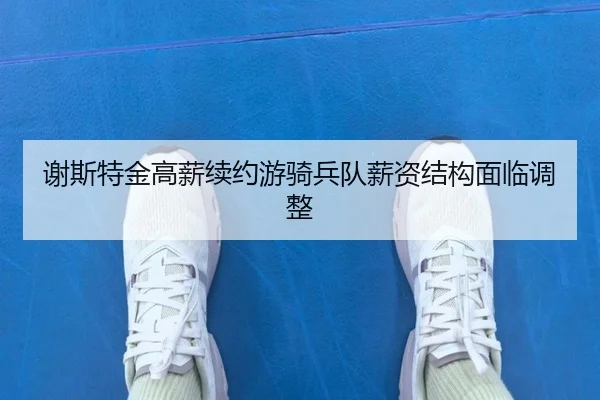 xie-si-te-jin-gao-xin-xu-yue-you-qi-bing-dui-xin-zi-jie-gou-mian-lin-tiao-zheng-3-352.jpg