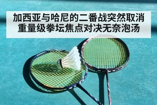 加西亚与哈尼的二番战突然取消 重量级拳坛焦点对决无奈泡汤